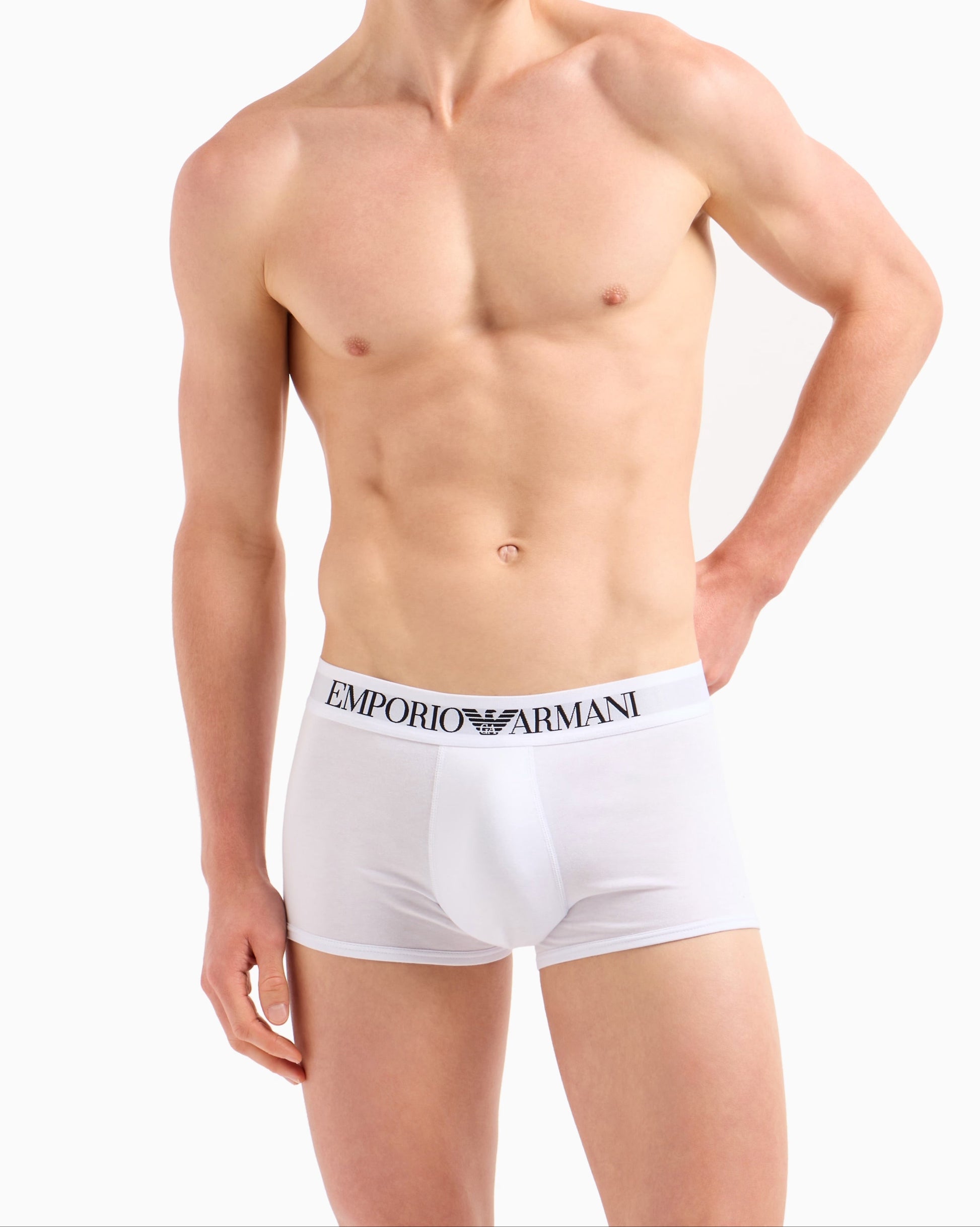 ARMANI PARIGAMBA BASIC VITA LOGATA