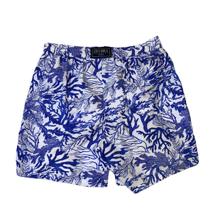 Zeybra-Boxer Fantasia Coralli